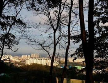 기사이미지