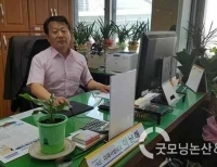 기사이미지