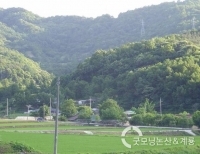 기사이미지