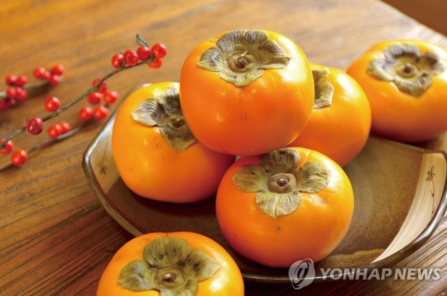 진영단감
