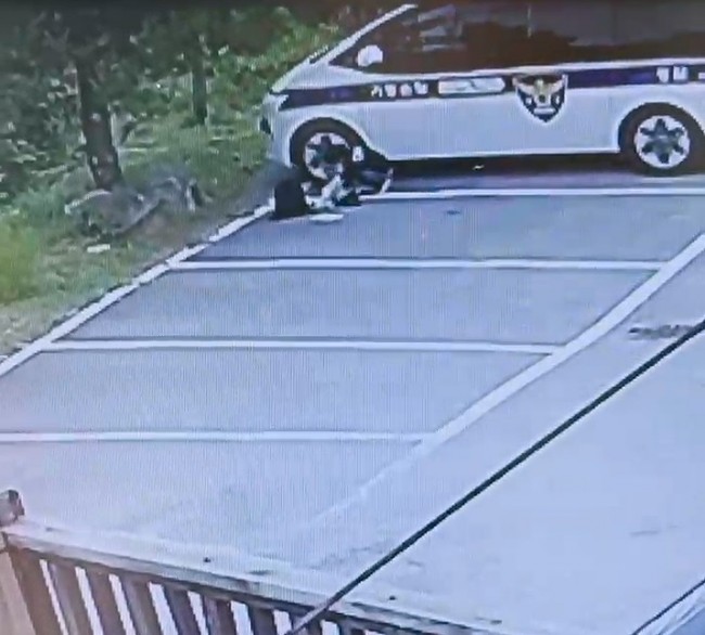 CCTV 화면