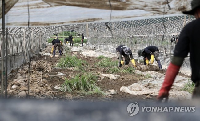대민 지원 나선 군 장병