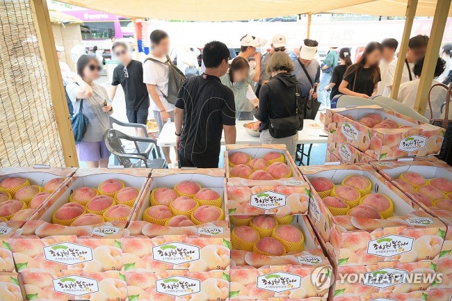 탐스러운 조치원 복숭아