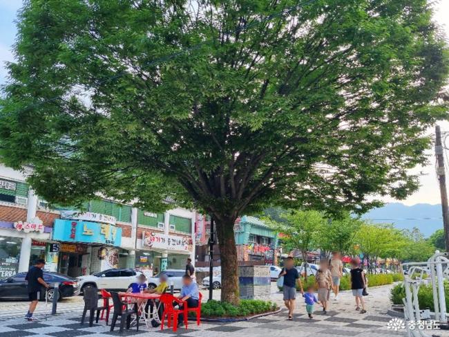 계룡산 동학사 계곡