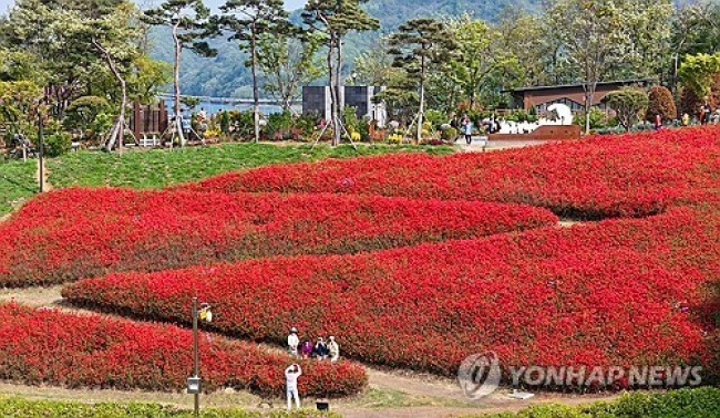 임실의 봄 풍경