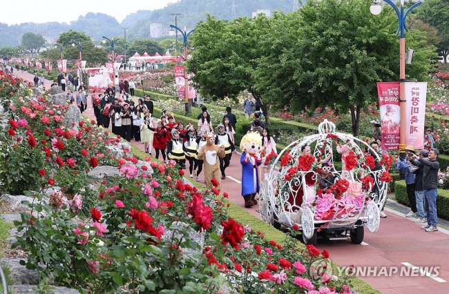 장미꽃길 걸어요…삼척장미축제