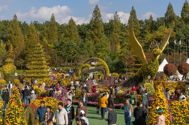 익산 천만송이 국화축제