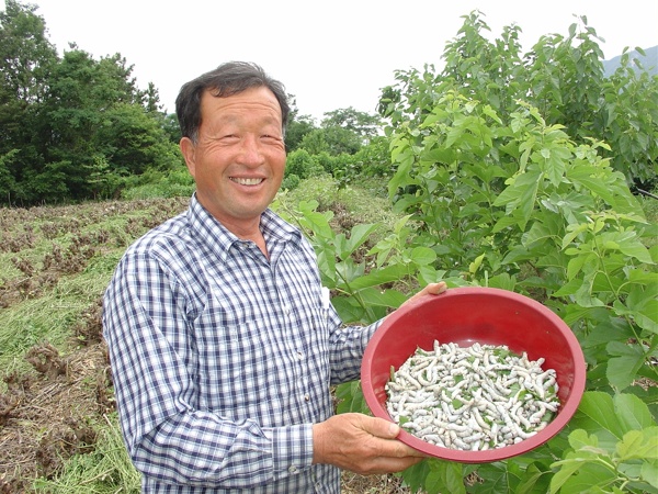 기사이미지