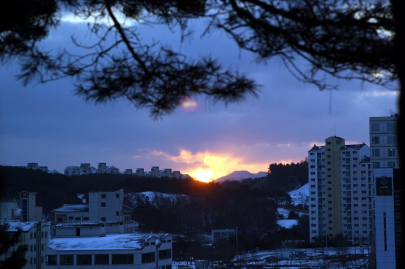 기사이미지