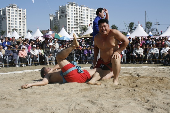 기사이미지
