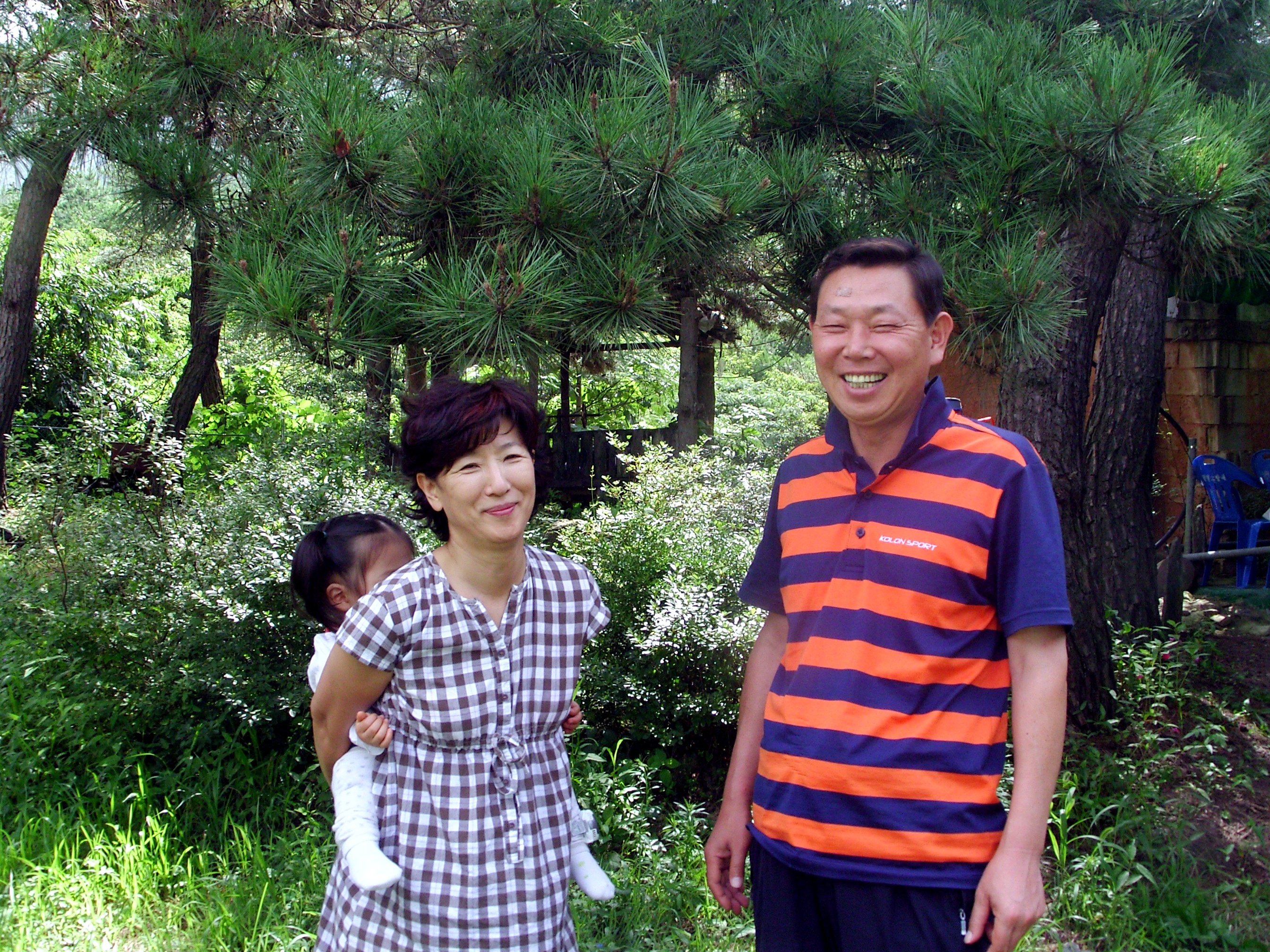 기사이미지