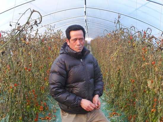 기사이미지