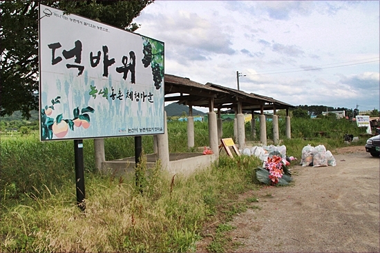 기사이미지