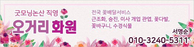 오거리화원