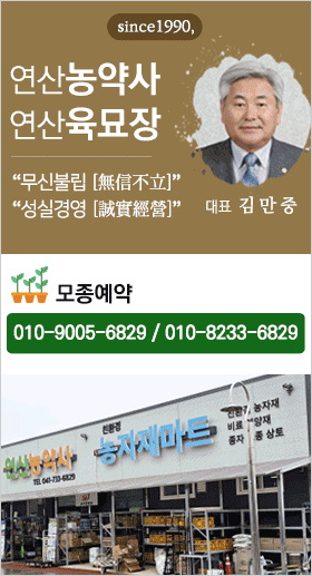 연산육묘장
