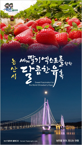 논산시 딸기 엑스포