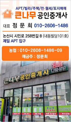 큰나무부동산