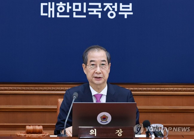 한덕수 권한대행 국무회의 발언