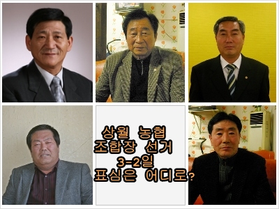 기사이미지